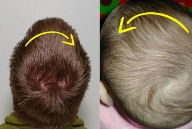 Trẻ có 2 xoáy có thông minh hơn người? Chuyên gia lý giải và chỉ ra 4 dấu hiệu của một thiên tài