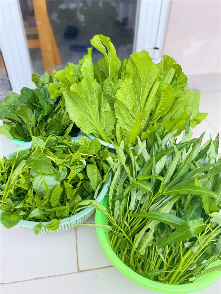 Đặc điểm nhận biết rau có thuốc trừ sâu - 1