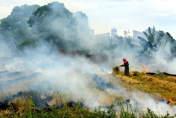 Vì sao AWATEN kiến nghị sớm hoàn thiện thị trường carbon?