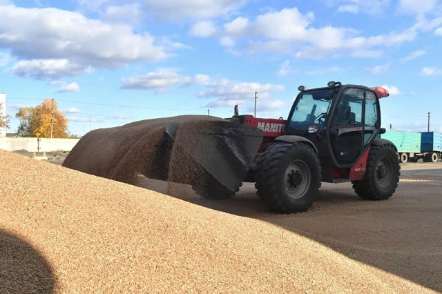 Thỏa thuận ngũ cốc sụp đổ sẽ không tăng giá ở châu Âu, nhưng Ukraine bị giảm thu nhập