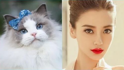 Phụ nữ tuổi này giỏi chăm con lại khéo chiều chồng, đàn ông lấy được phúc 3 đời