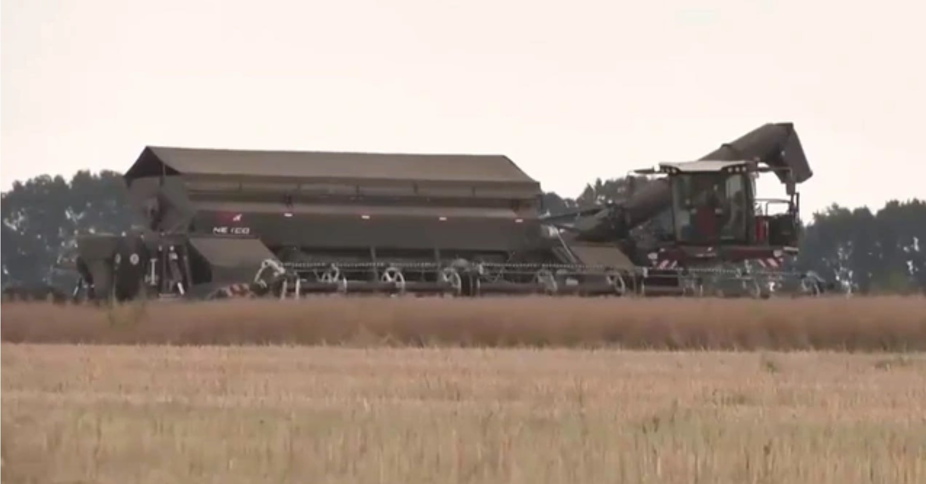 EU thảo luận về việc xuất khẩu ngũ cốc từ Ukraine
