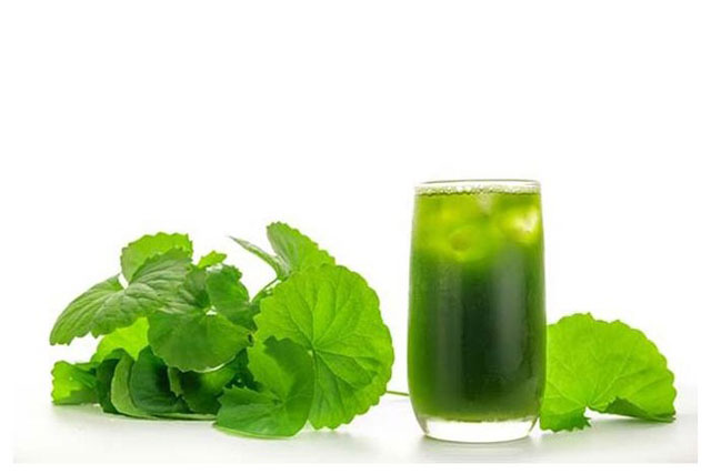 Những sai lầm khi uống nước rau má giải nhiệt, bổ đâu không thấy, chỉ toàn rước bệnh vào người