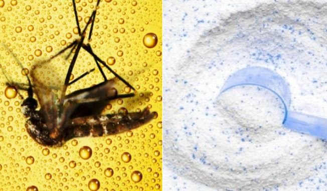 Trộn bột giặt với bia có công dụng gì?