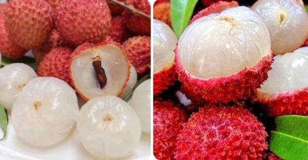 M&#x1ED9;t s&#x1ED1; b&#xE0;i thu&#x1ED1;c ch&#x1EEF;a b&#x1EC7;nh t&#x1EEB; qu&#x1EA3; v&#x1EA3;i v&#xE0; nh&#x1EEF;ng l&#x1B0;u &#xFD; khi d&#xF9;ng