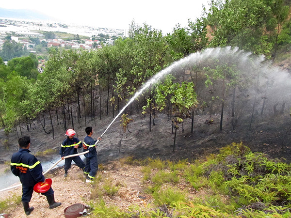 Đà Nẵng: Cảnh báo nguy cơ xảy ra cháy rừng diện rộng