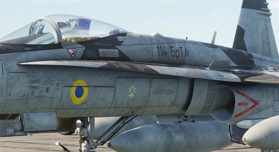 Australia sẽ bàn giao tới 41 tiêm kích F/A-18 Hornet tham chiến? ảnh 3
