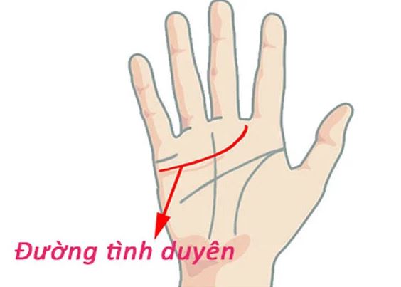 Xem đường chỉ tay vợ chồng biết hôn nhân hạnh phúc hay khó hòa hợp