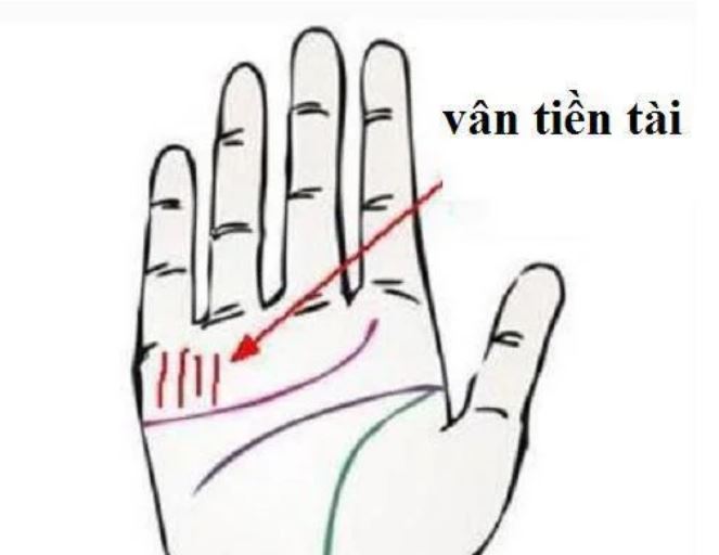 Bàn tay đàn ông có 3 nét tướng này chứng tỏ tài giỏi, kiếm tiền đệ nhất thiên hạ