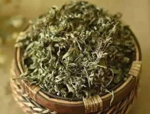 Vì sao lá ngải cứu phơi khô được ví như thần dược?