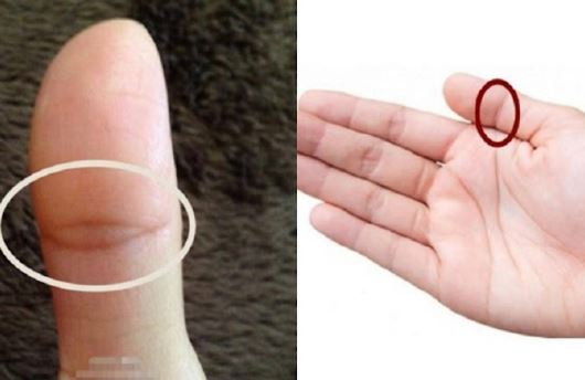 Dấu hiệu bàn tay của người có mệnh phú quý, số 3 cực kỳ hiếm chỉ 1,5% người sở hữu
