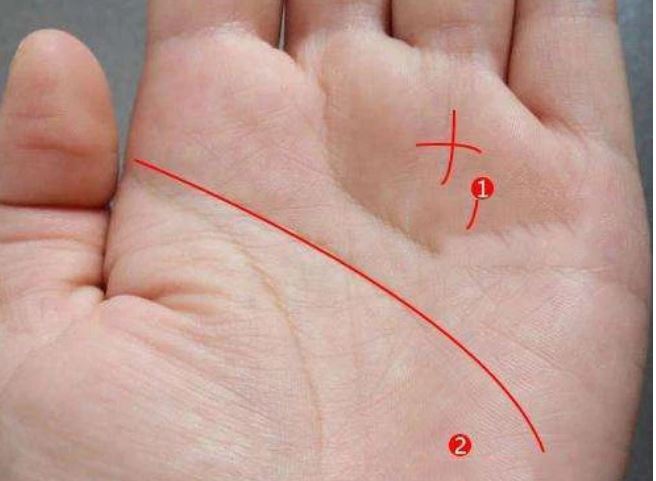 3 kiểu vân tay phú quý, định sẵn vận mệnh giàu sang ở phụ nữ