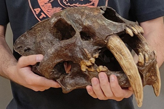 Phát hiện hài cốt mèo quái vật có thể đã làm biến đổi con người