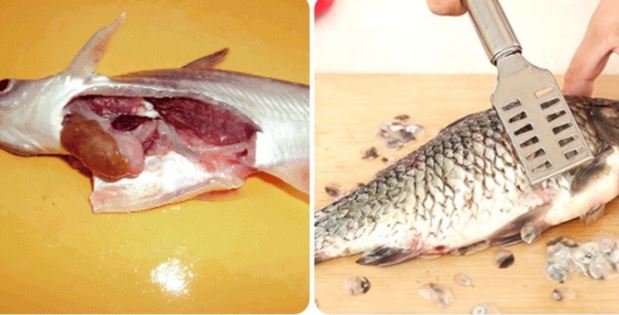 5 bộ phận vừa ngon vừa bổ của con cá nhiều người thường hay bỏ đi