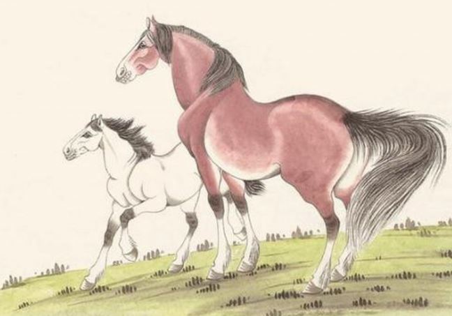 3 con giáp tính cách mạnh mẽ, khó khăn không thể cản bước