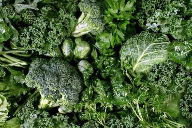 Những thực phẩm ngừa lão hóa hiệu quả