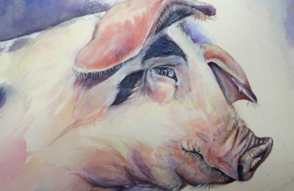 3 con giáp nữ càng lúc càng giàu, nửa đời sau không lo thiếu tiền