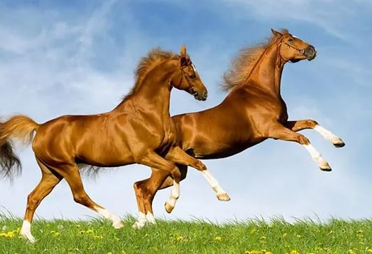 Tháng 8 không lo thiếu tiền, 3 con giáp này tài lộc phất lên từng ngày