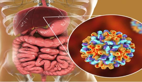 4 thói quen khiến gan âm thầm bị tổn thương: Số 3 giới trẻ rất hay mắc