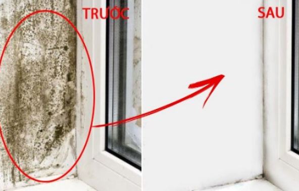 Tường bị nấm mốc, lau chùi mãi ko sạch: Dùng cách này tường sạch bong như mới chỉ trong ít phút