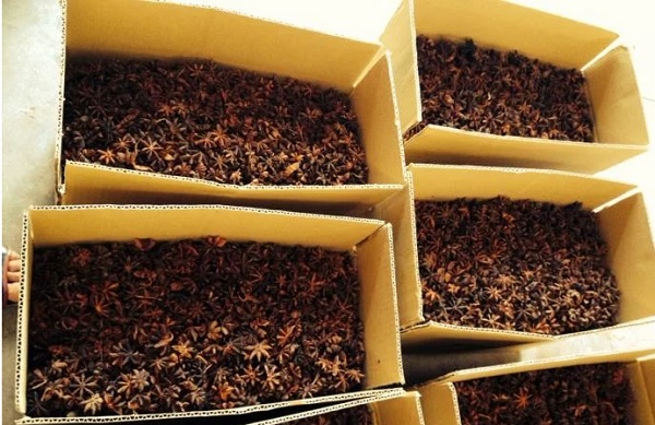 Đề nghị UAE áp dụng biện pháp khẩn cấp bảo vệ lô hàng của doanh nghiệp Việt 