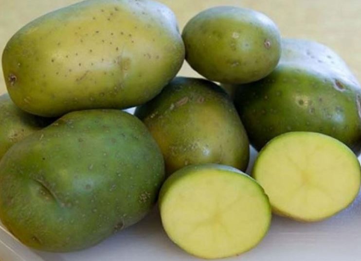 5 thực phẩm hàng ngày độc hại, có thể gây tử vong