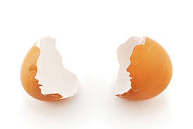 Công dụng bất ngờ của vỏ trứng