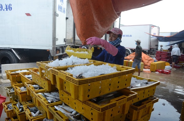 Xuất khẩu thủy sản 2023 sẽ kém xa năm ngoái

