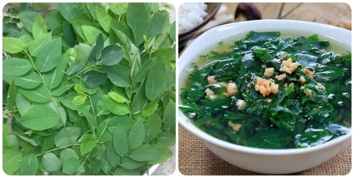 Rau ngót tốt nhưng không phải ai cũng có thể ăn được