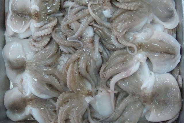 Hướng dẫn cách chọn bạch tuộc tươi ngon