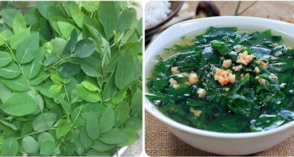 Ai không nên ăn rau ngót?