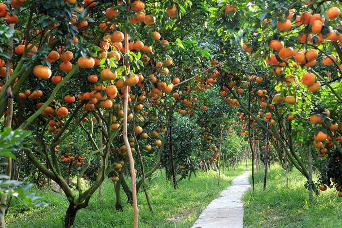 Những điểm du lịch không nên bỏ lỡ khi ghé thăm Cần Thơ