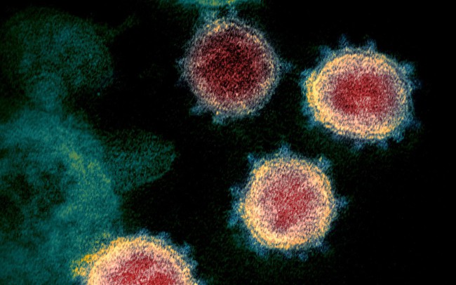 Biến thể COVID-19 mới lan rộng rộ khắp nước Anh, gia tăng lo ngại về tình hình dịch bệnh