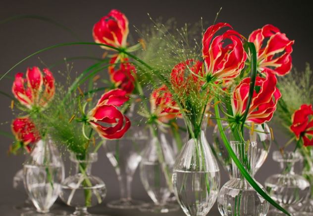 3 loại hoa được ví như “Vàng thực vật” nhà giàu xem như báu vật: Có 1 cây cũng đủ giàu sang phú quý