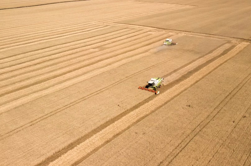 Thổ Nhĩ Kỳ sẽ tiếp tục đàm phán về thỏa thuận ngũ cốc