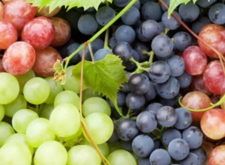 Người mắc bệnh tiểu đường có nên ăn nho hay không?