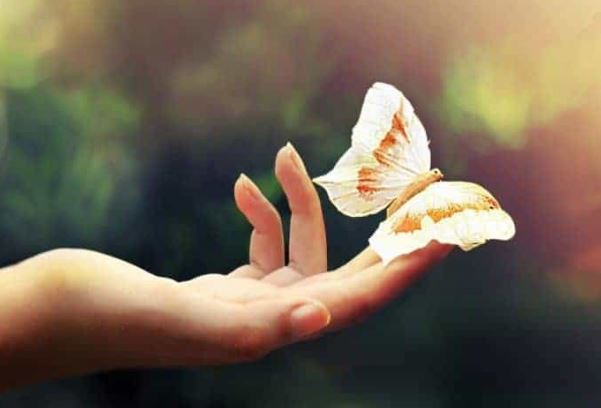 Cổ nhân dạy, muốn biết một người có phúc hay không, chỉ cần nhìn vào điểm này sẽ rõ