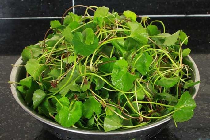 Lợi ích của rau má và lưu ý khi sử dụng