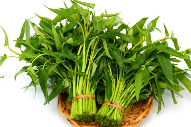 Lợi ích của rau muống và những điều cần lưu ý khi ăn