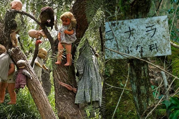 “Cánh rừng tự sát” của Nhật Bản hiện tại như thế nào sau thời gian gây ám ảnh