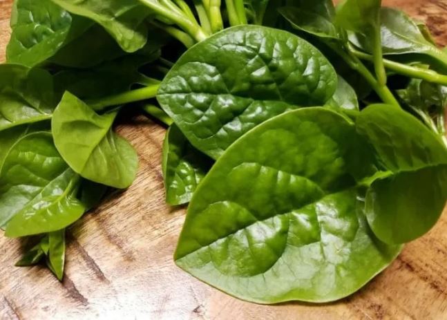 5 nhóm người không nên ăn rau mồng tơi