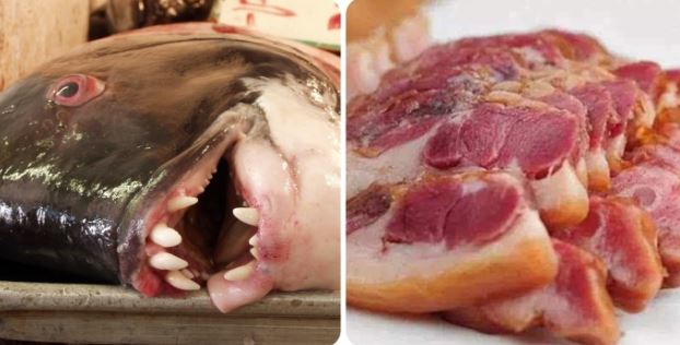 Những bộ phận 'cực hại' của lợn, gà, vịt, cá nhưng nhiều người vẫn vô tư ăn hàng ngày