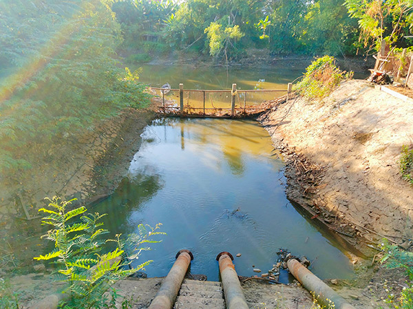 Quảng Nam: Thủy điện thừa nước nhưng đồng ruộng khô hạn