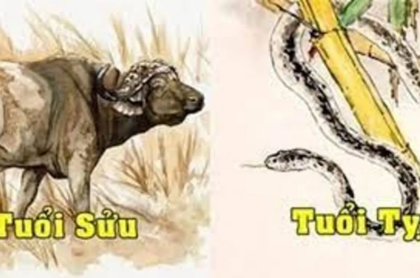 Tháng 7 cô hồn ai đen mặc ai: 3 con giáp được trời ban lộc, phất lên trông thấy