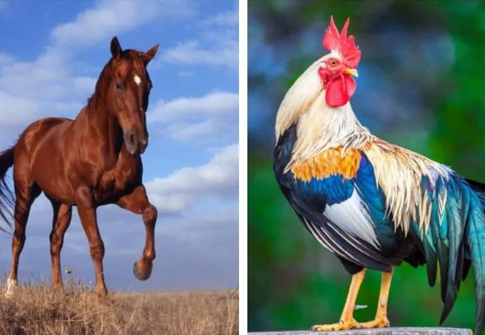 3 ngày cuối tháng 6 Âm lịch: 3 con giáp may mắn chạm đỉnh, phú quý bao trùm