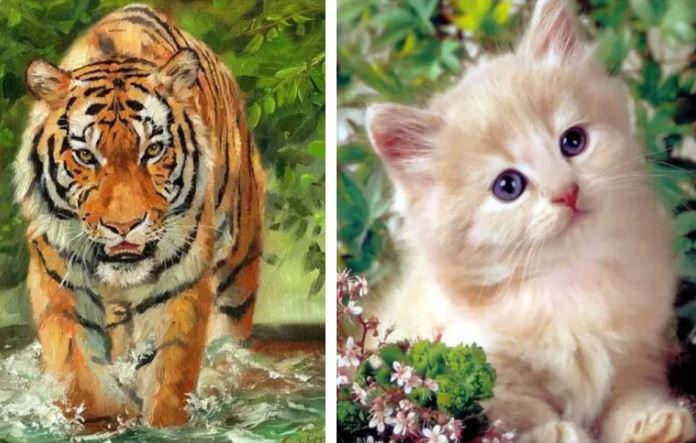 3 con giáp trời sinh siêng năng, cần mẫn sớm muộn gì cũng thành công