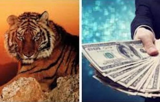 Thần Tài cho lộc kinh doanh, 4 tuổi có thể làm ăn “1 vốn 4 lời” giàu có sung túc, hậu vận viên mãn