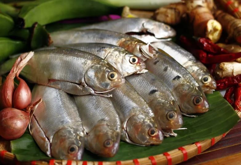 Đi chợ thấy 7 loại cá này cần mua ngay: Bổ ngang nhân sâm, tổ yến, giá rẻ lại không tăng trọng