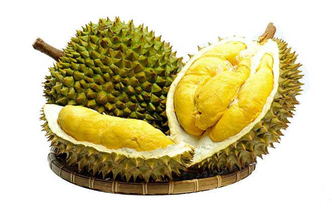 Chủ vườn trái cây tiết lộ mẹo nhận biết sầu riêng 'ngậm' hóa chất