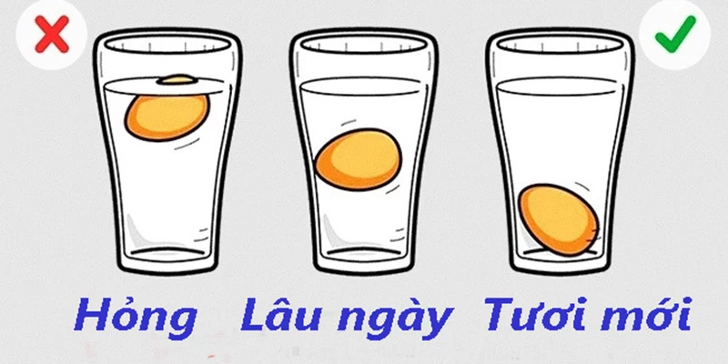 Cách nhận biết cá tươi - Cá tươi có mắt sáng, da thịt đàn hồi, vảy không bị tróc, và mắt cá không lõm xuống. Khi bạn bỏ cá vào nước, nó sẽ chìm xuống.